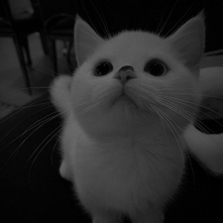 Cusra TON 🏴‍☠️