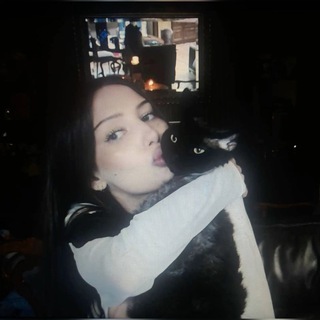 видео из дп