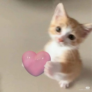 милые кружочки и видео🎀💋