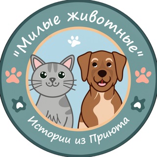 Милые животные: Истории из Приюта