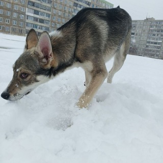 Конкурсы от Бейли