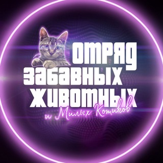 ОТРЯД ЗАБАВНЫХ ЖИВОТНЫХ