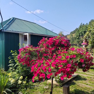 А̴л̴л̴а̴ ̴на даче🏡