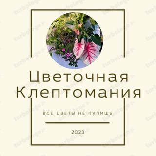 ЦВЕТОЧНАЯ КЛЕПТОМАНИЯ