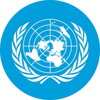 Международные Модели ООН