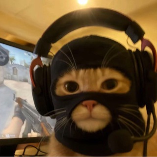 Котик и кибер спорт CS