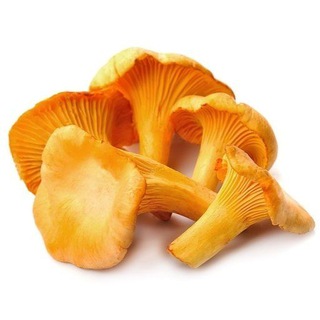 выберите валюту