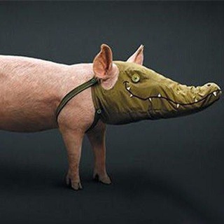 Торфяник-киберуничтожитель🇷🇺🇹🇯