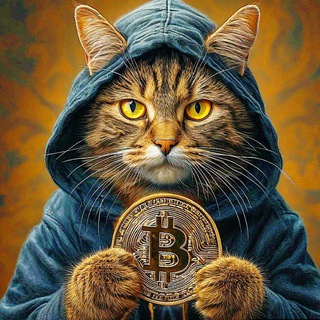 🐈 CryptoCat 🐈‍⬛