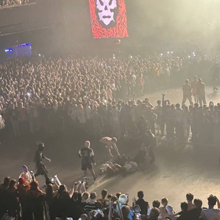 похождения (не)лысого