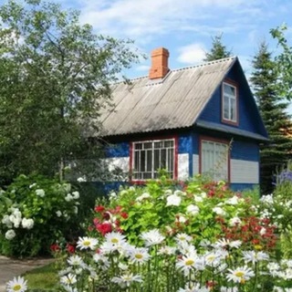 Зажиточная дачная жизнь.