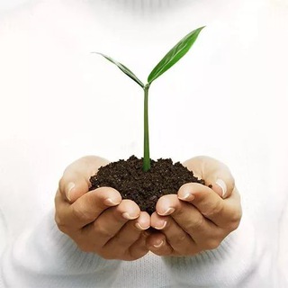 Дачник Сибири