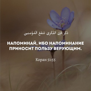 Исламские картинки