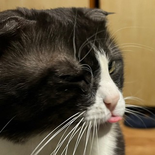 БОГАТОВА💸МАРИАННА🔝УПРАВЛЕНИЕ КОМАНДОЙ🔝СЕО💲ЗАКРЫТЫЕ ПРОДАЖИ