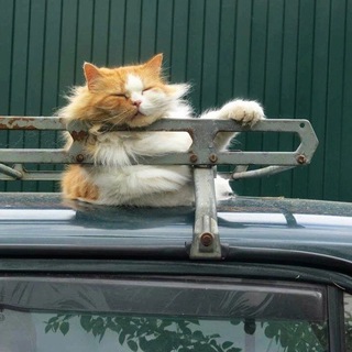 Дача в Подмосковье