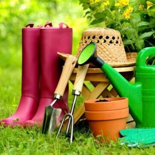 Дача мечты. Сад и огород