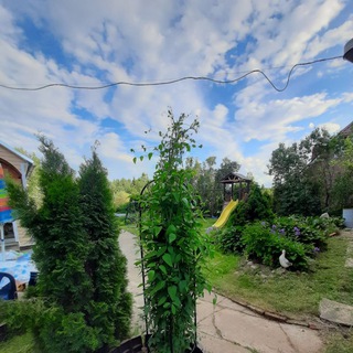 Дача без прикрас в Подмосковье