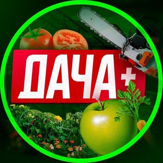 Дача и огород