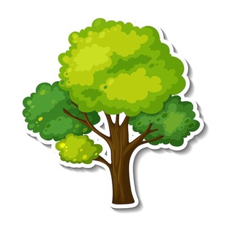 Дача | Сад мечты