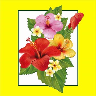 Садовая выставка в Краснодаре