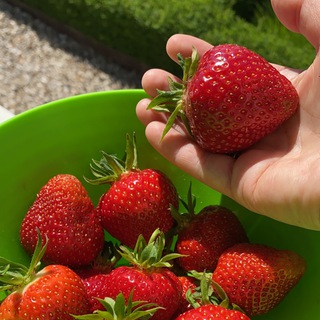 Дача Лето Сад - со вкусом и любовью