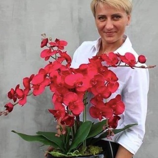 Цветы Растения Огород