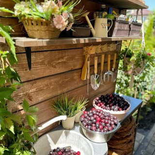 Дача 🏠 • Сад 🪴 • Рецепты 🍽️• Полезный блог