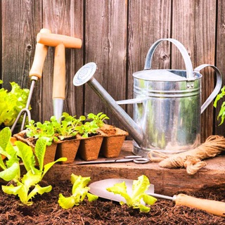 Дачные секреты🏡