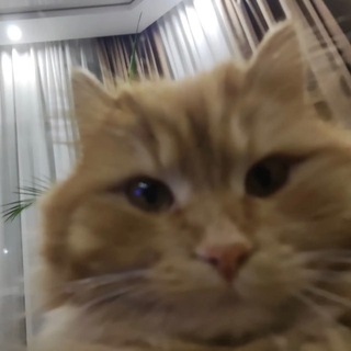 эдиты дюхинскс