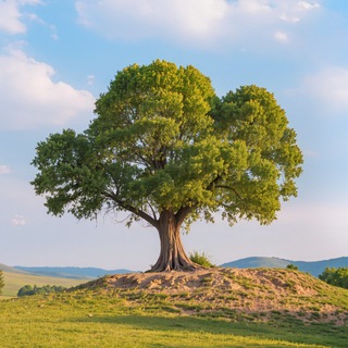 Даёшь участок!