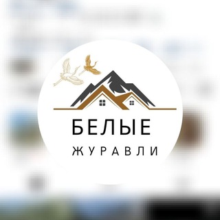 belie_juravli 🕊️🕊️🕊️