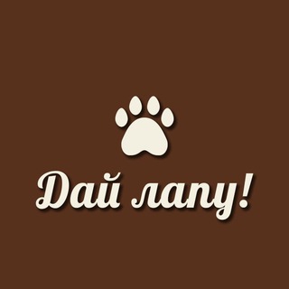 Дай лапу
