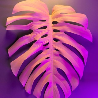 дайте растений