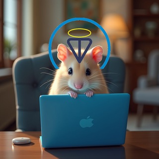 КОМБО ДНЯ⚡️