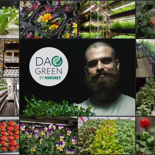 Никита Махаев | Проектирование и запуск вертикальных ферм Daogreen Даогрин
