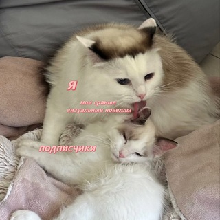 даря и её бэклог