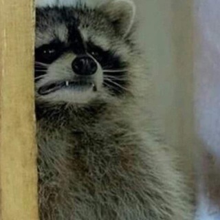 Девочка, с которой ничего не случится