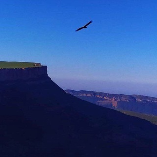 Даргинский язык