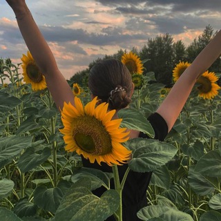 ꧁𝓓𝓪𝓻𝔂𝓪 𝓕𝓲𝓵𝓲𝓶𝓸𝓷𝓸𝓿𝓪꧂