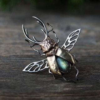 🌿DariaBel_jew🌿