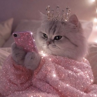 Книги, кинчик и винчик 💓