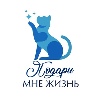 Подари мне Жизнь