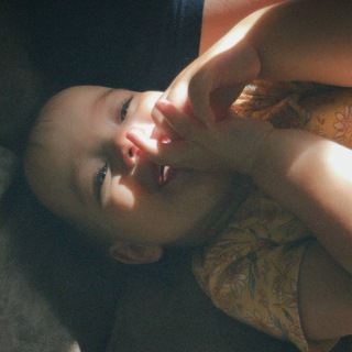 плюшевые шутки