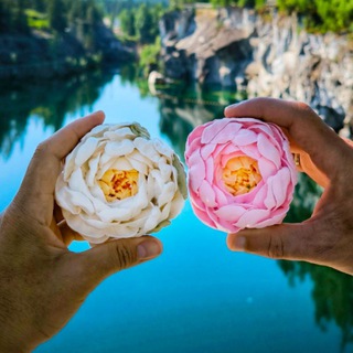 «Дари Зефир» | Цветы из зефира Долгопрудный | Москва