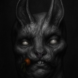 𝕯𝔞𝖗𝔨𝕽𝔬𝖔𝔪