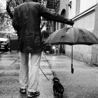 Помощь хвостикам darya34_34🐾