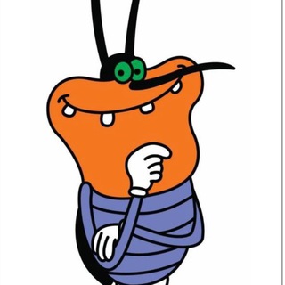 Знакомьтесь, мои тараканы 🪳