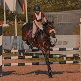 🤎Dasha forever | коноблог🤎