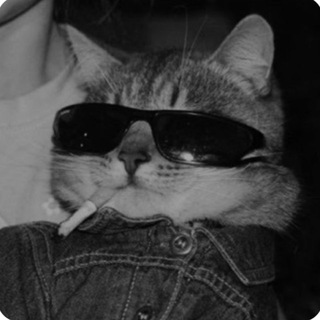 Профессор Bond | заметки