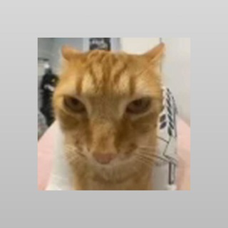 Тг премиум эмоции